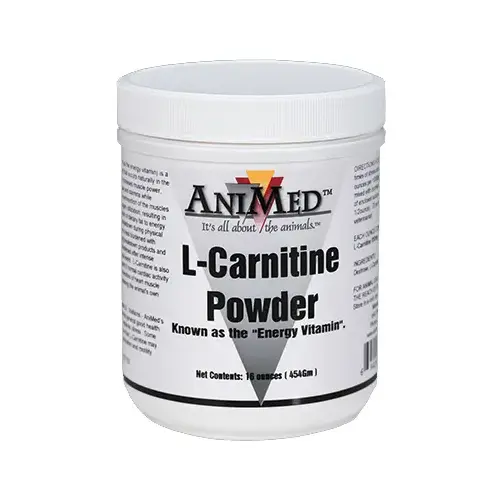 ANIMED L-CARNATINE 16 OZ