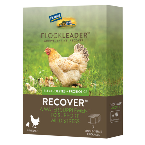 Perdue Agribusiness 001-81052 Flockleader RECOVER Prebiotic Prebiotic Supplement for Chickens 8+ Weeks