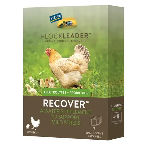 Perdue Agribusiness 001-81052 Flockleader RECOVER Prebiotic Prebiotic Supplement for Chickens 8+ Weeks