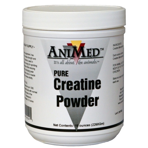 Creatine Powder 16-oz