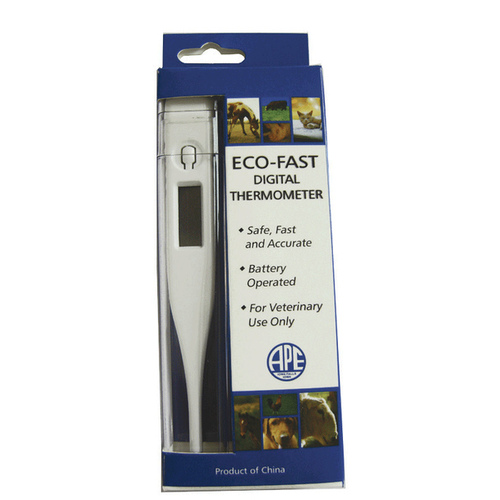 Eco-Fast Digital Thermometer