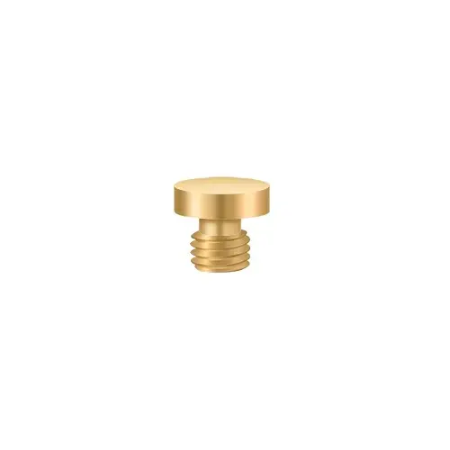 Deltana CHBU003 Button Tip in PVD Polished Brass