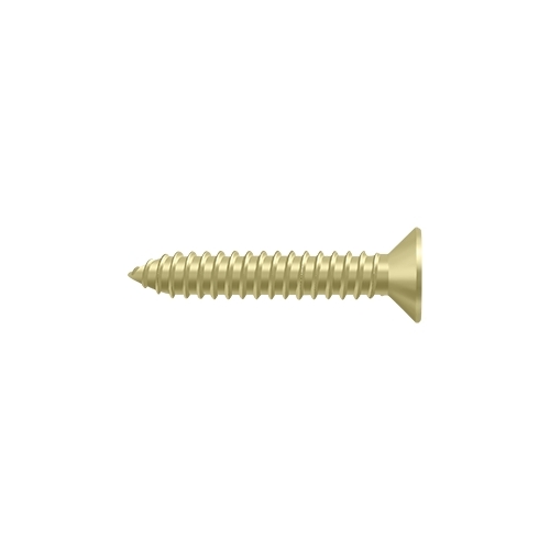 Wood Screw, SB, #14 x 1-1/4" in Polished Brass