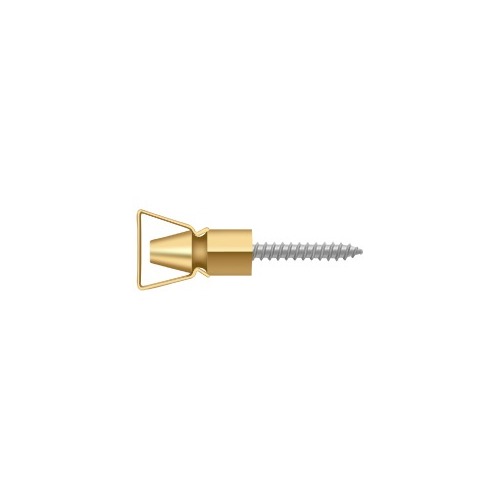 Shutter Door Holder, 1-1/4" in PVD Polished Brass