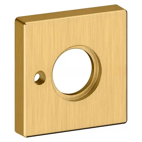 2" Square Privacy Rose Lifetime Satin Brass Finish Pair