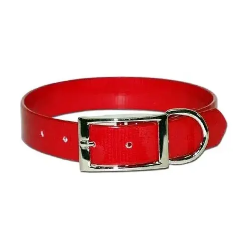 SunGlo Poly Coated Nylon Hunt Collar - Red 1" x 23"