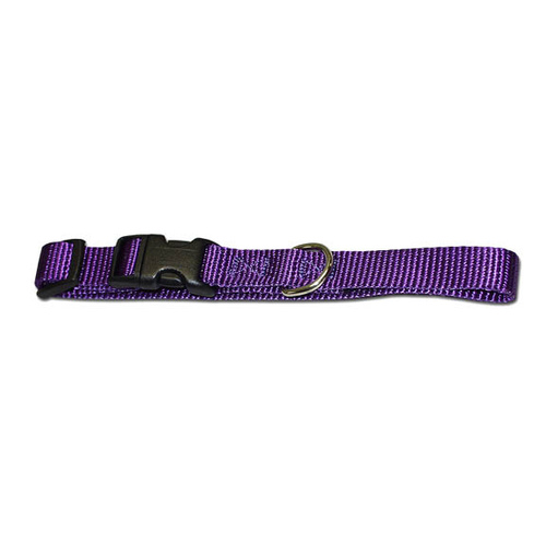 Omnipet 103QKN-PURPLE 5/8" Kwik Klip Adjustable Nylon Dog Collar S Purple