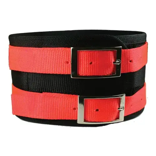 Nylon Hog Dog Collar Orange/Black Small