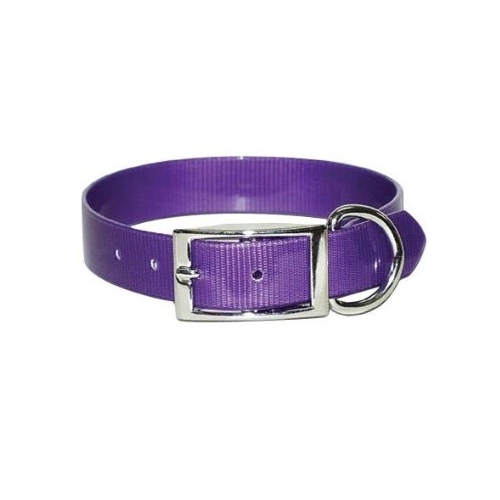 Omnipet 100D-PR25 SunGlo Poly Coated Nylon Hunt Collar - Purple 1" x 25"