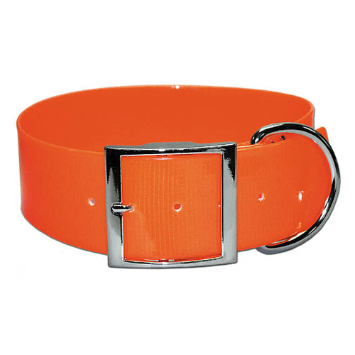 Poly Coated Nylon Hunt Collar 2" x 25"