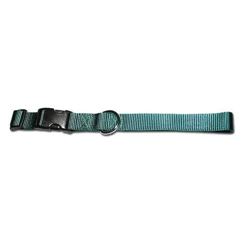 1" Kwik Klip Adjustable Nylon Dog Collar L Green