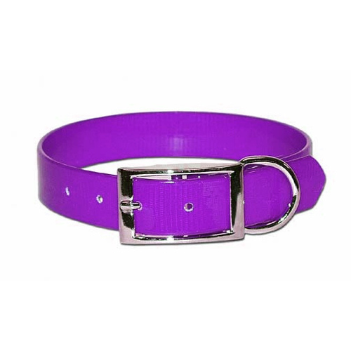 SUNGLO POLY COATED NYLON HUNT COLLAR - Purple 1" X 17"