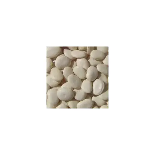 Charter Seed Co 13702245 Beans Lima - Henderson 5-lbs