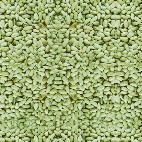 Green Safflower Bird Seed