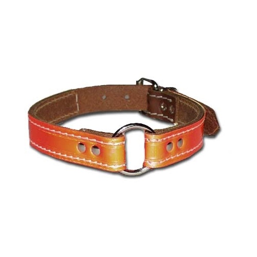 Bully Safety Ring-In-Center Leather Collar 1" x 23"