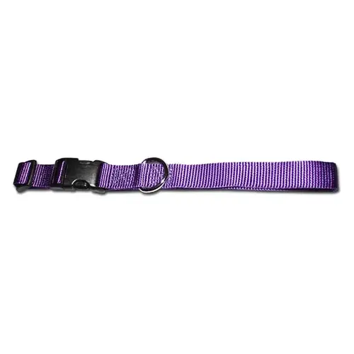 1" Kwik Klip Adjustable Nylon Dog Collar L Purple