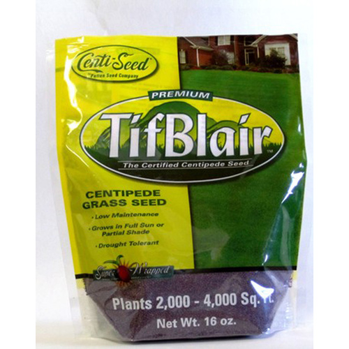 Patten Seed Company C-1# Tifblair Centipede Grass Seed