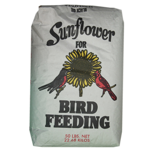 Black Oil SUnflower Seeds 50LB Bag