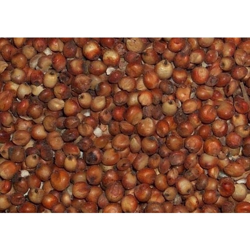 Furst-McNees Company 13701852 Red Milo 50LB