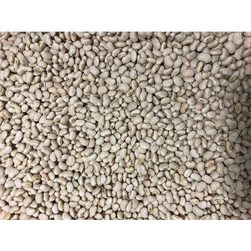 Cowpeas - Whipper Snapper - 5-LBS