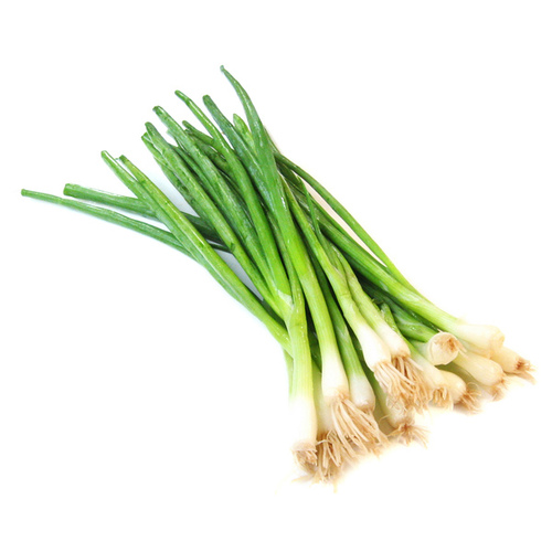 Disselkoen & Mulder Farms 13722165 Sweet Green Onion Sets #2 (Oversize) 32 Lb. Bag