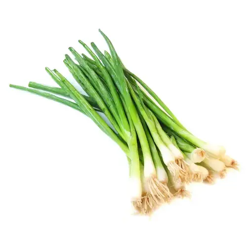 Sweet Green Onion Sets #2 (Oversize) 32 Lb. Bag