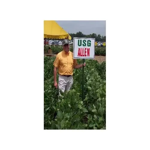 Clemmons and Hamner Seed Inc 140K Soybean Seed Glyphosate Tolerant 140K Count (Approx 35-lbs)