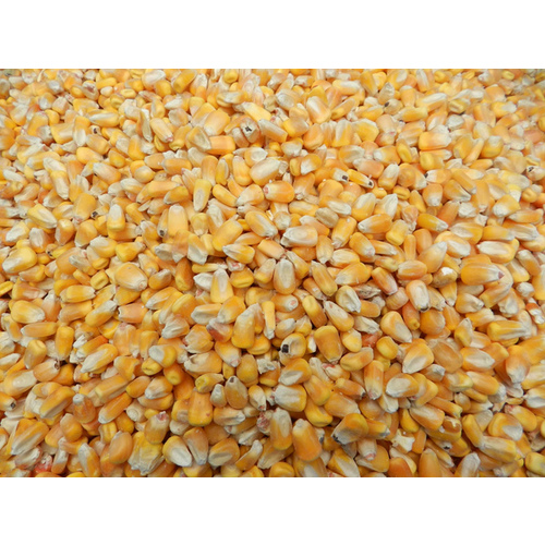 Furst-McNees Company 100-0003 Central States Whole Corn - 50 lb