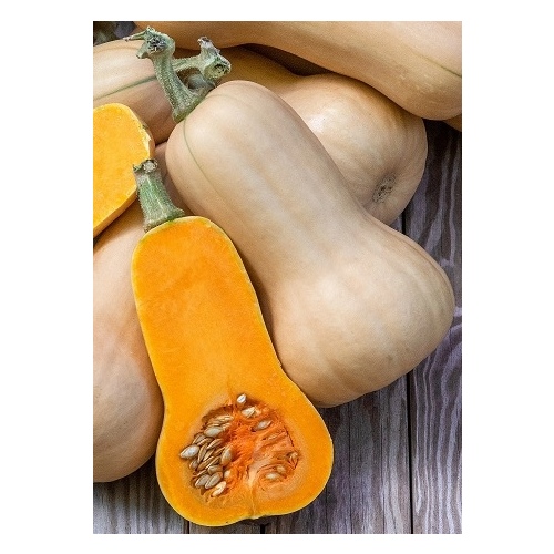 Squash - Waltham Butternut 1-lbs