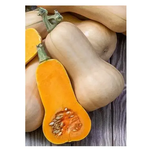 Wild West Seed 13702326 Squash - Waltham Butternut 1-lbs