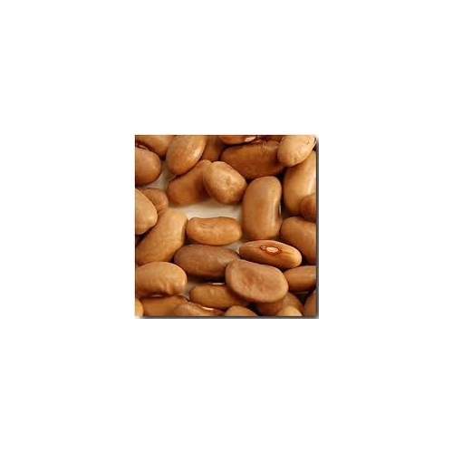 Charter Seed Co 13702544 Beans Pole - Kentucky Wonder 50-lbs