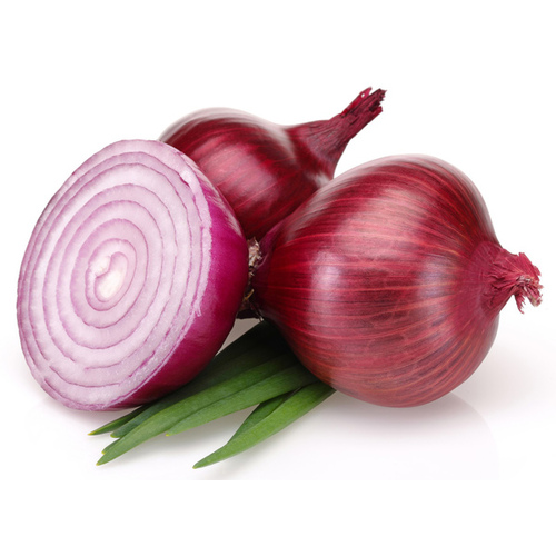 Disselkoen & Mulder Farms 13722162 Red Onion Sets 32 Lb. Bag