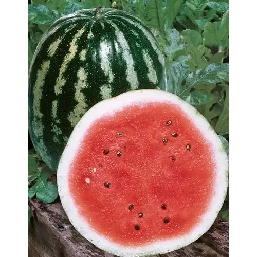 Wild West Seed 13702291 Watermelon - Crimson Sweet 1-lbs