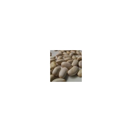 Charter Seed Co 13702545 Beans Pole - McCaslan 42 - 50-lbs