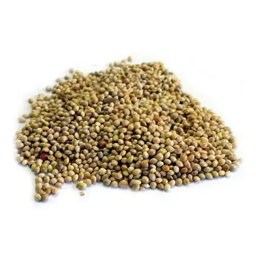 Green Thumb German Finch Millet - 50 lbs