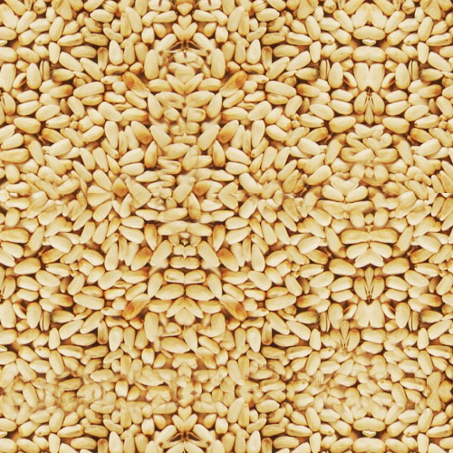 Yellow Safflower Bird Seed