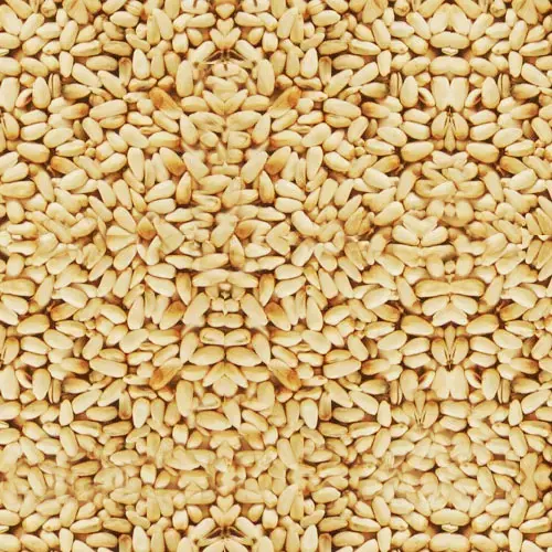 Yellow Safflower Bird Seed