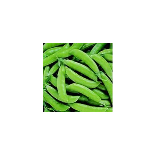 Charter Seed Co 13702551 Peas - Sugar Snap 50-lbs