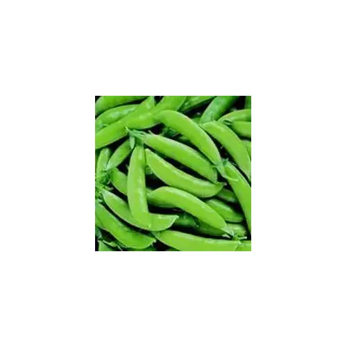 Charter Seed Co 13702551 Peas - Sugar Snap 50-lbs