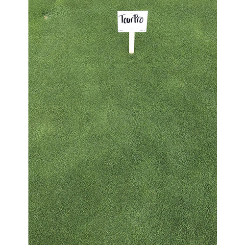 Columbia Seeds 13700312 Perfect'Turf - Yard & Turf Seed Blend