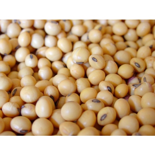 Furst-McNees Company 100-0060 Soybean - Feed Grade 50lbs