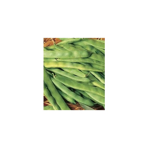 Charter Seed Co 13702236 Bush Beans - Roma II 50-lbs