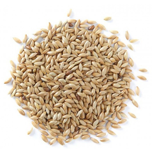 Canary Seed 50LB