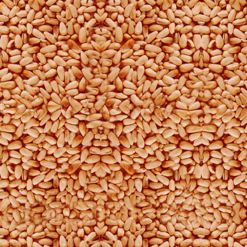 Orange Safflower Bird Seed