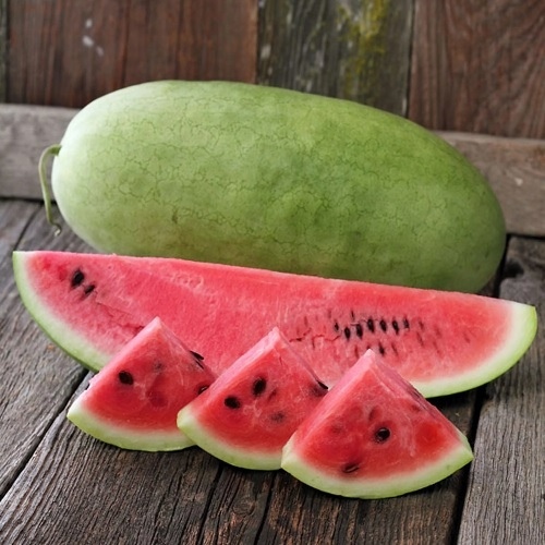 Watermelon - Charleston Gray 1-lbs