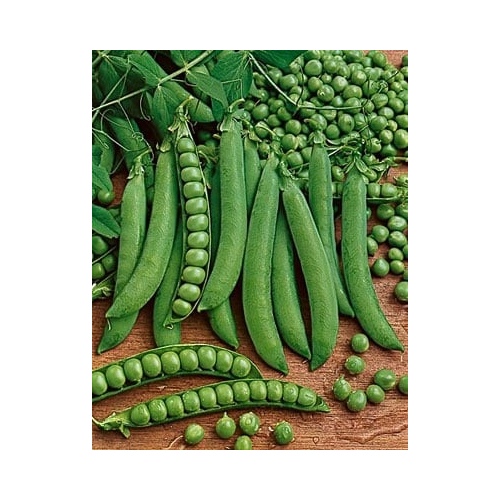 Peas - Green Arrow 5-lbs