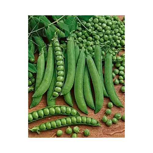 Wild West Seed 13702272 Peas - Green Arrow 5-lbs