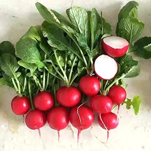 Radish - Cherry Bell 1-lbs