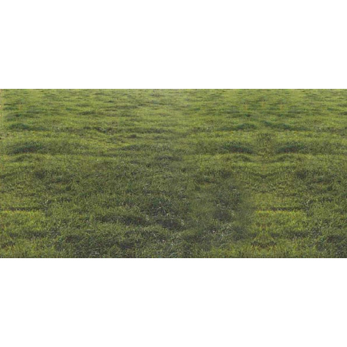 Oregon Grown Seeds 13702032 Marshall Ryegrass Seed - 50 lb