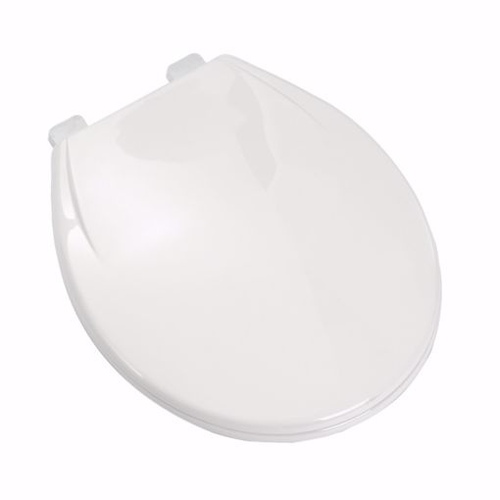 JONES STEPHENS CORPORATION C1106S00 Aqua Plumb Toilet Seat